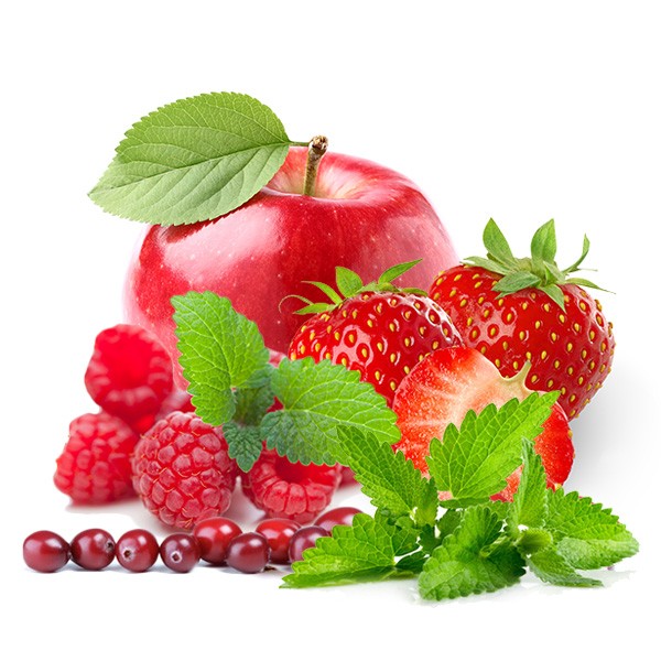 Shadow BURNER Aroma - 10ml - Red Frosty Fruit